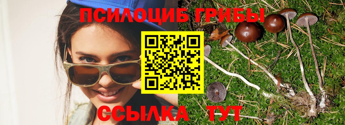Галлюциногенные грибы мицелий Рязань